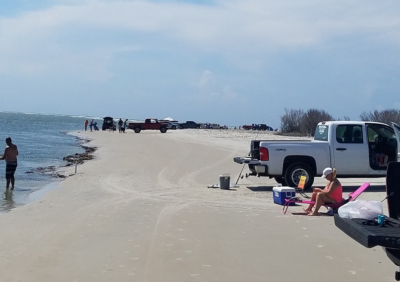 are dogs allowed on north topsail beach